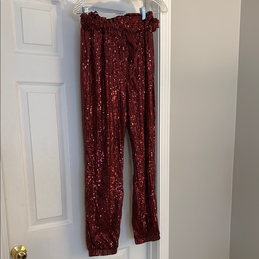 Sequin Burgundy Pants